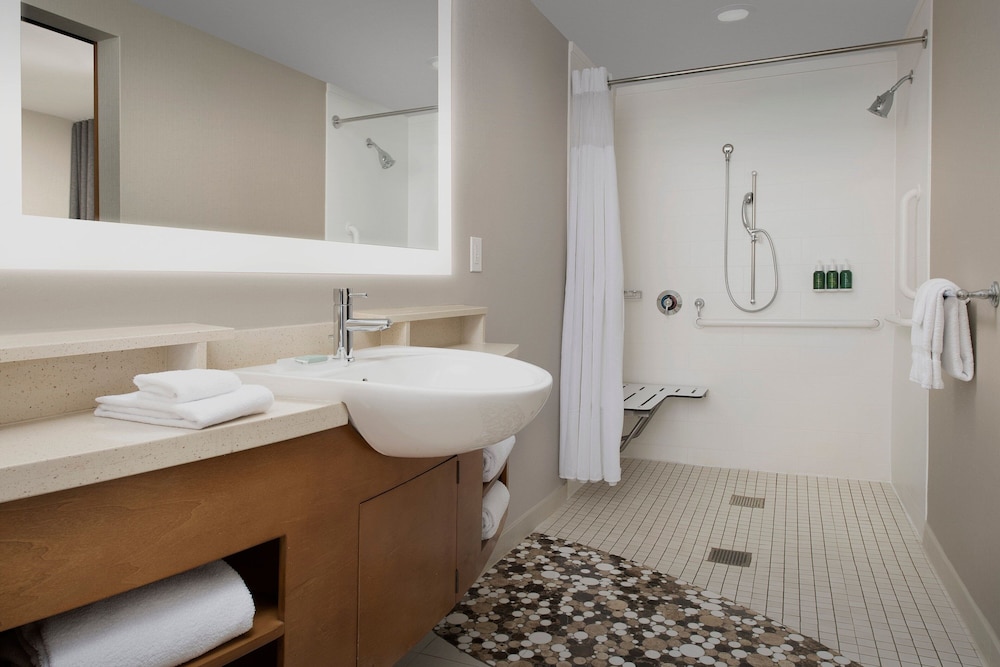 Studio, 1 King Bed (Mobility Accessible, Roll-In Shower)