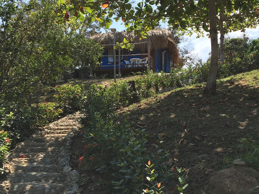 Cabin, Garden View photo 3