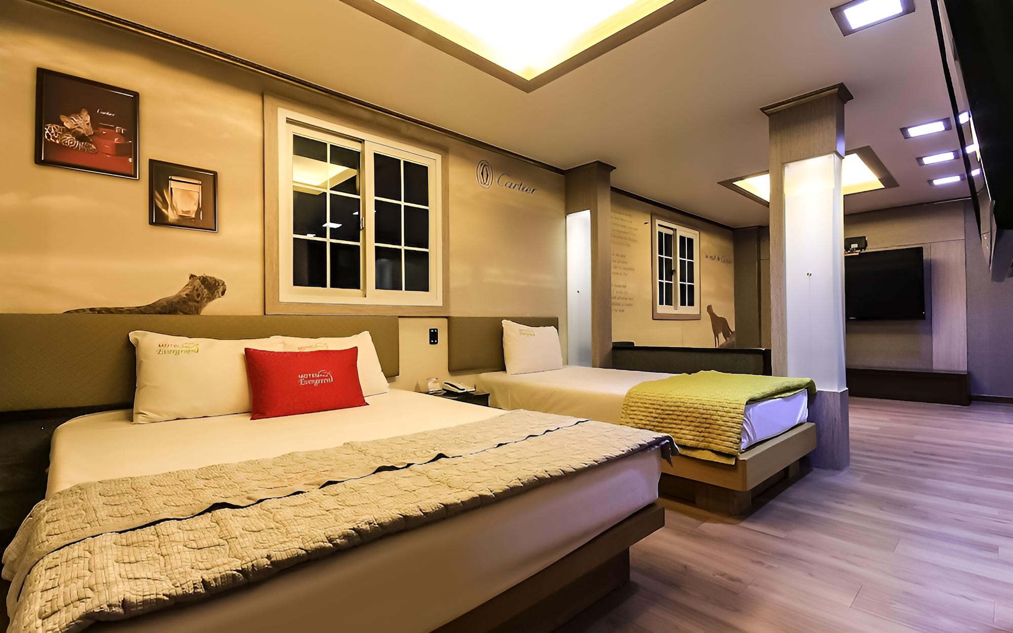 Room (VIP Twin)