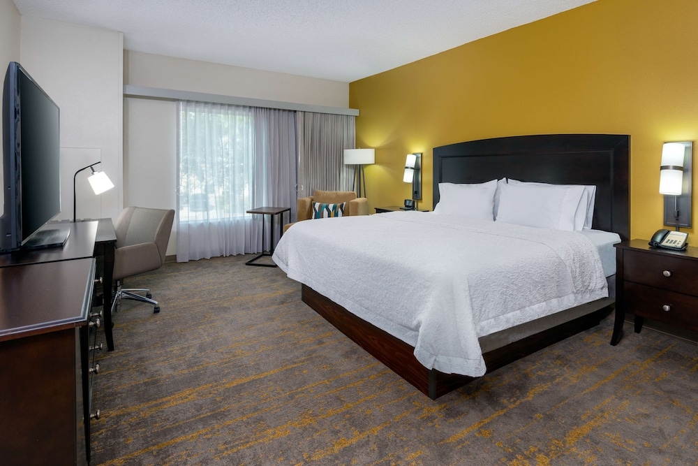 Room, 1 King Bed, Accessible, Non Smoking photo 3