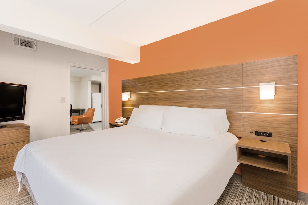 Suite, 1 King Bed - Photo 1