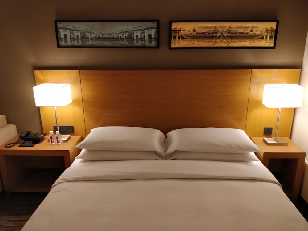 Room, 1 King Bed with Sofa bed photo 2