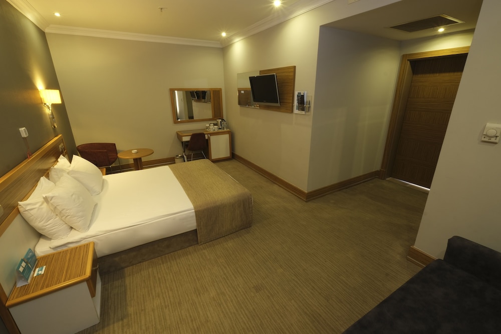 Standard Room, 1 King Bed With Sofa Bed, Accessible