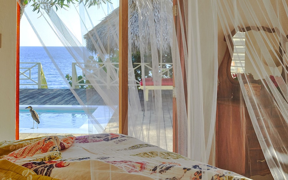 Villa, 3 Bedrooms (Pelican) photo 3