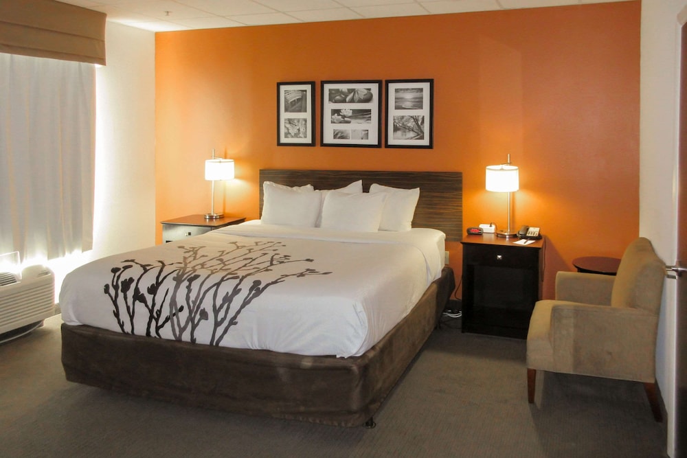 Standard Room, 1 King Bed, Non Smoking - Photo 6
