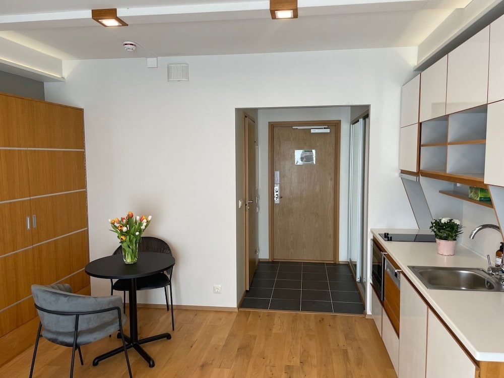Medium Studio Apartment photo 3