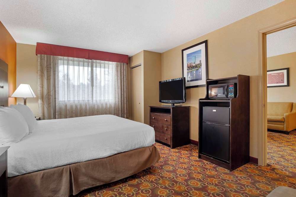 Suite, 1 King Bed, Non Smoking, Refrigerator & Microwave (with Sofabed) photo 2