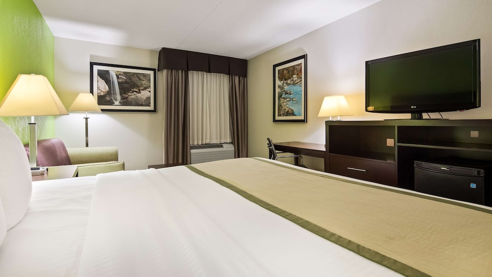 Standard Room, 1 King Bed, Accessible, Smoking - Photo 1