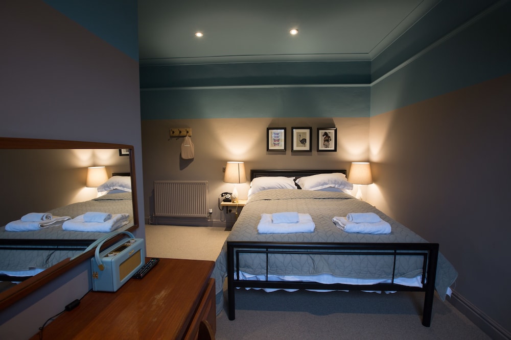 Deluxe Double or Twin Room photo 2