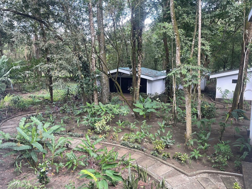 Double Room, Shared Bathroom, Garden View photo 3