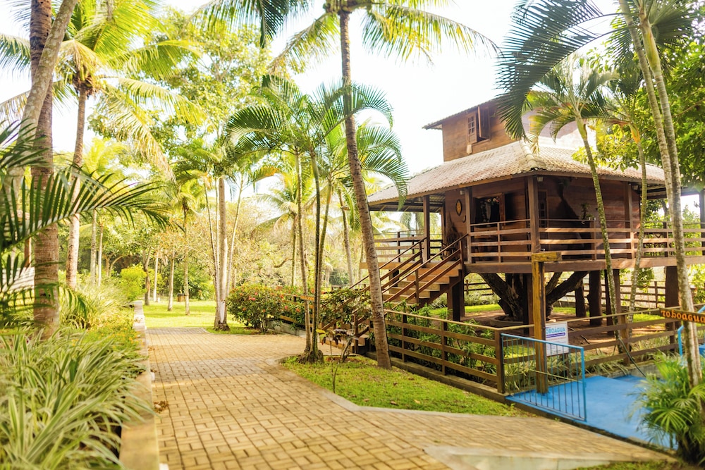 Premium Tree House photo 1