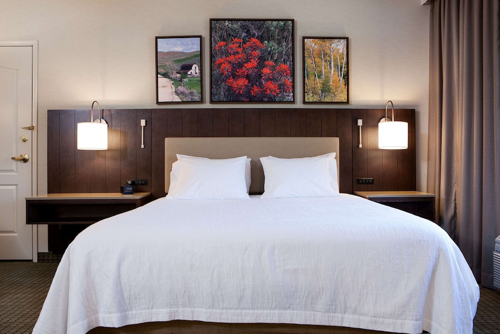 One King Bed Accessible photo 2