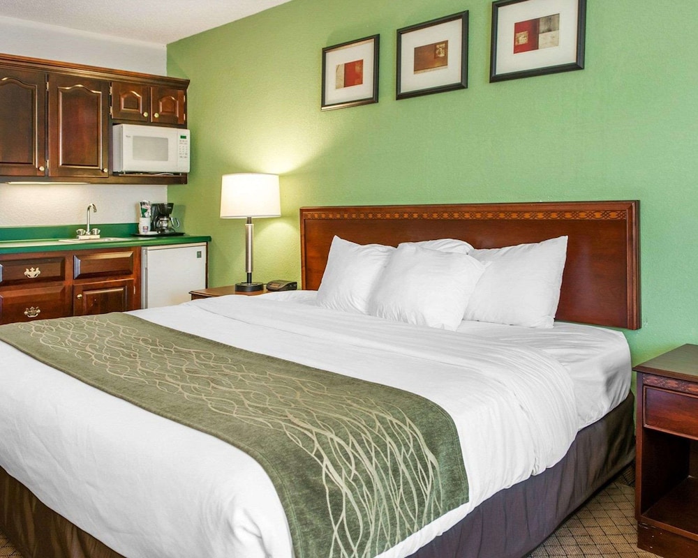 Standard Room, 1 King Bed, Accessible, Non Smoking (Accessible Tub) photo 3