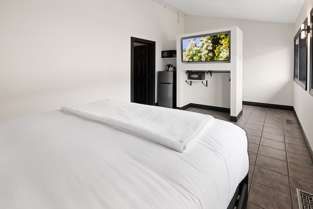 Signature Single Room (Not pet friendly) photo 3