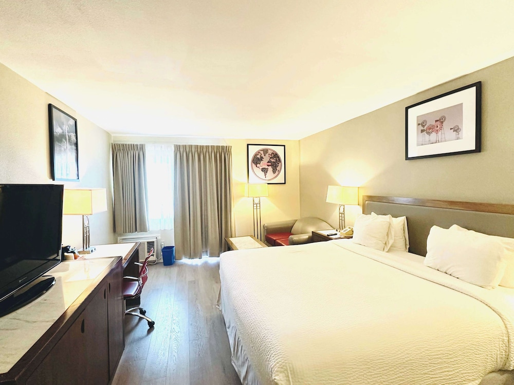 Business Room, 1 King Bed, Non Smoking - Photo 1