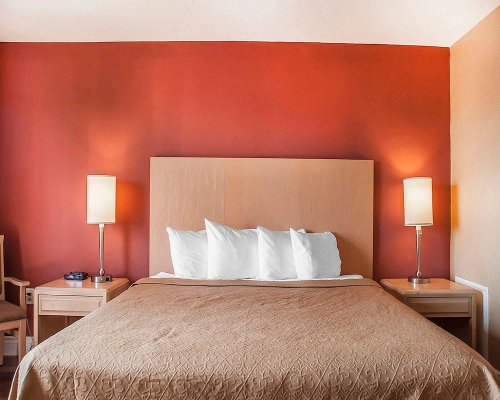 1 King Bed, Non Smoking Executive Room photo 3