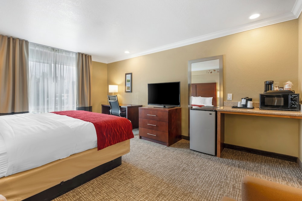 Room, 1 King Bed, Non Smoking - Photo 9