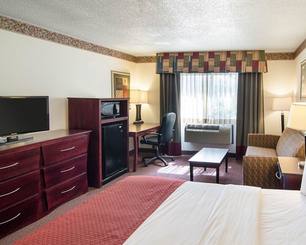 Room, 1 King Bed with Sofa bed, Accessible, Non Smoking photo 2