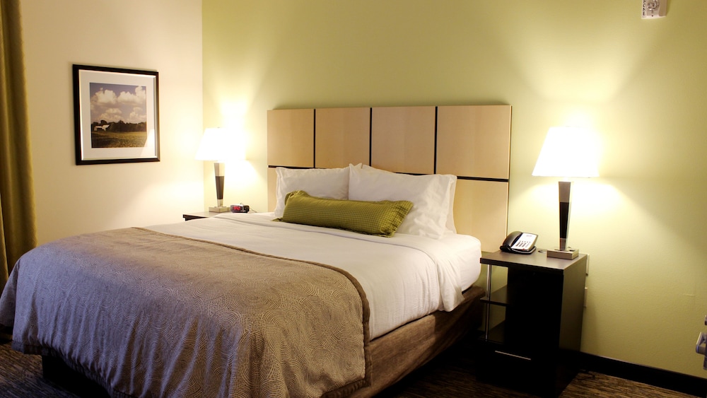 Studio Suite, 1 King Bed photo 3