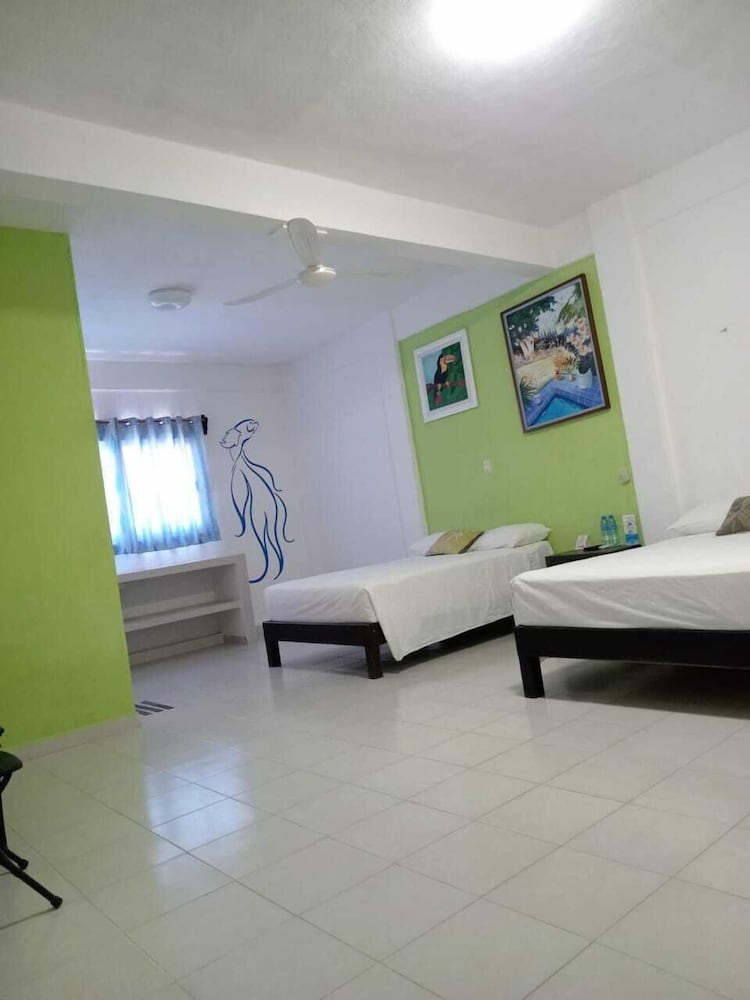Basic Double Room photo 2