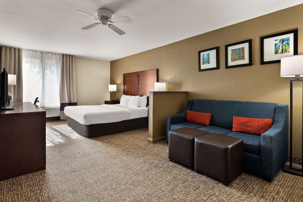 Suite, Non Smoking (1 King Bed) - Photo 1