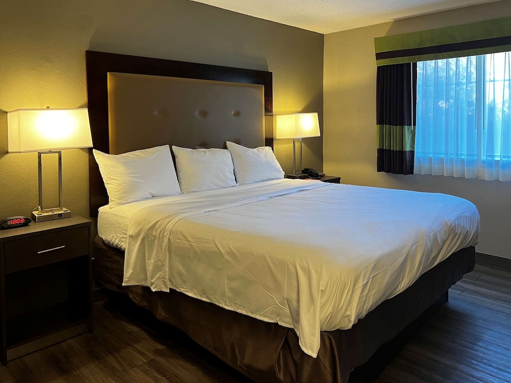 Standard Room, 1 King Bed, Non Smoking - Photo 1
