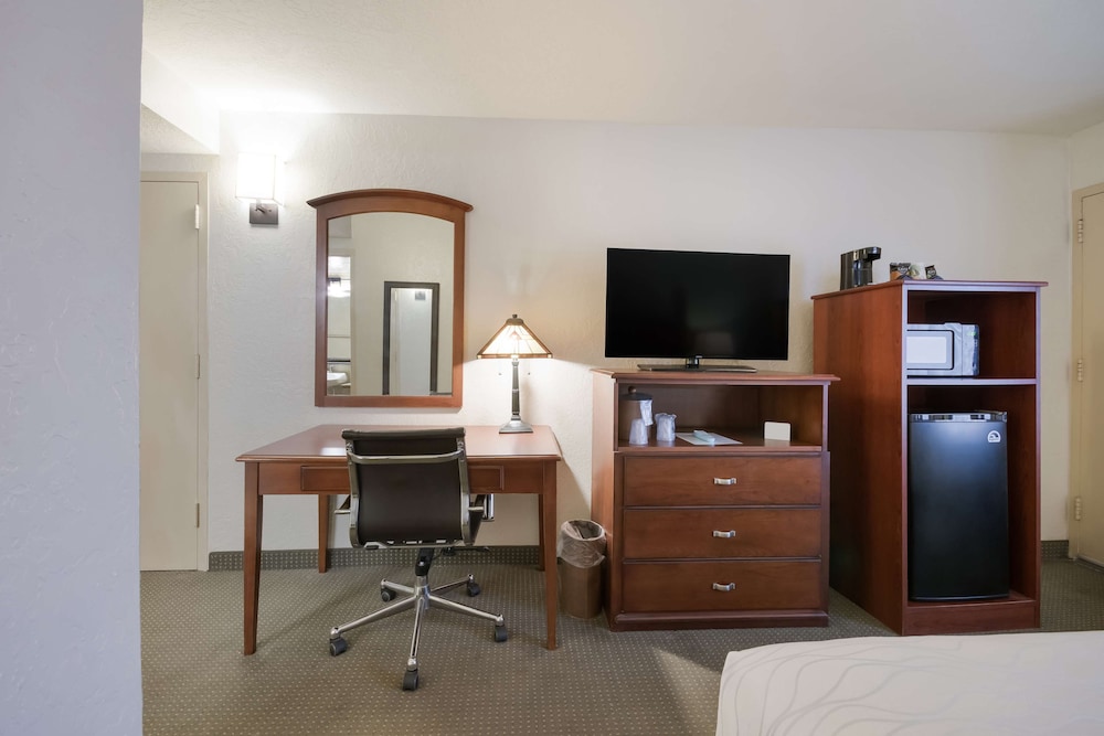 Standard Room, 1 King Bed, Accessible, Non Smoking photo 3