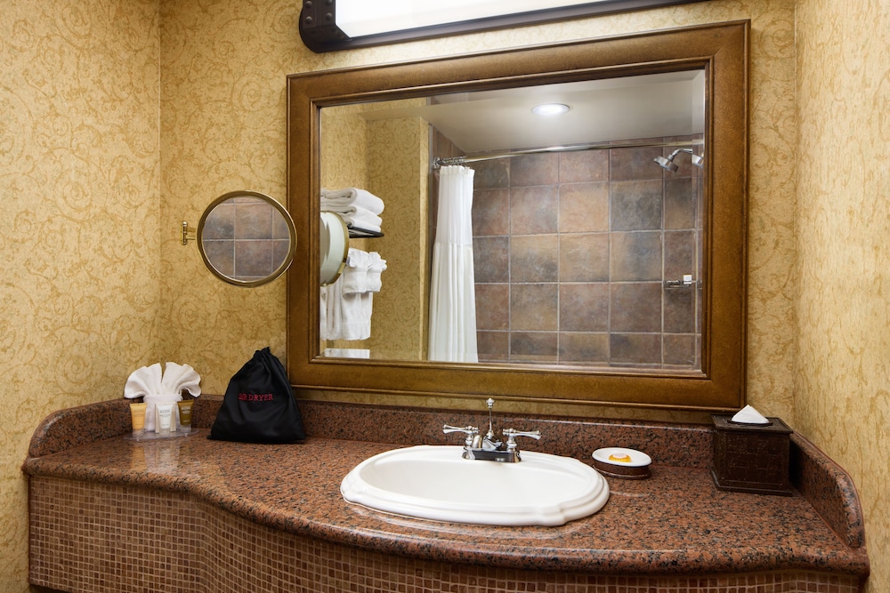 Lakefront Ambassador King, Balcony, Lake View - Photo 8