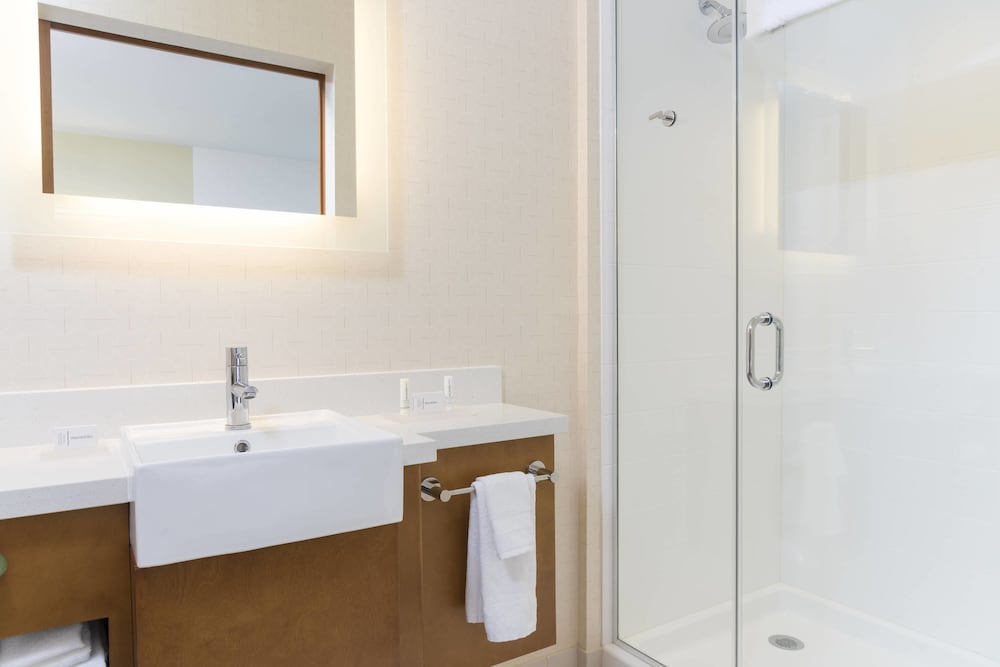 Suite, 1 King Bed with Sofa bed (Hearing Accessible)
