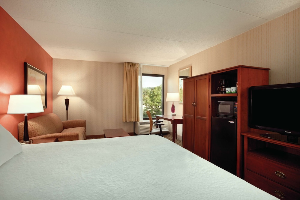 Room, 1 King Bed, Accessible, Non Smoking - Photo 1