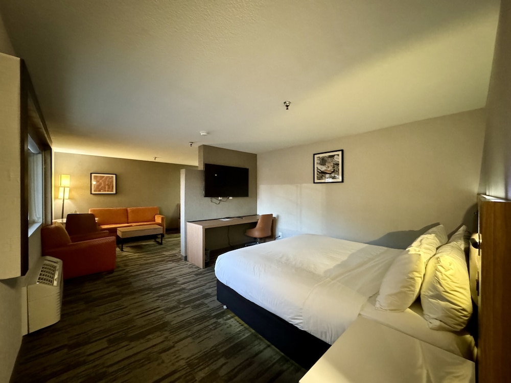 Business Room, 1 King Bed, Non Smoking