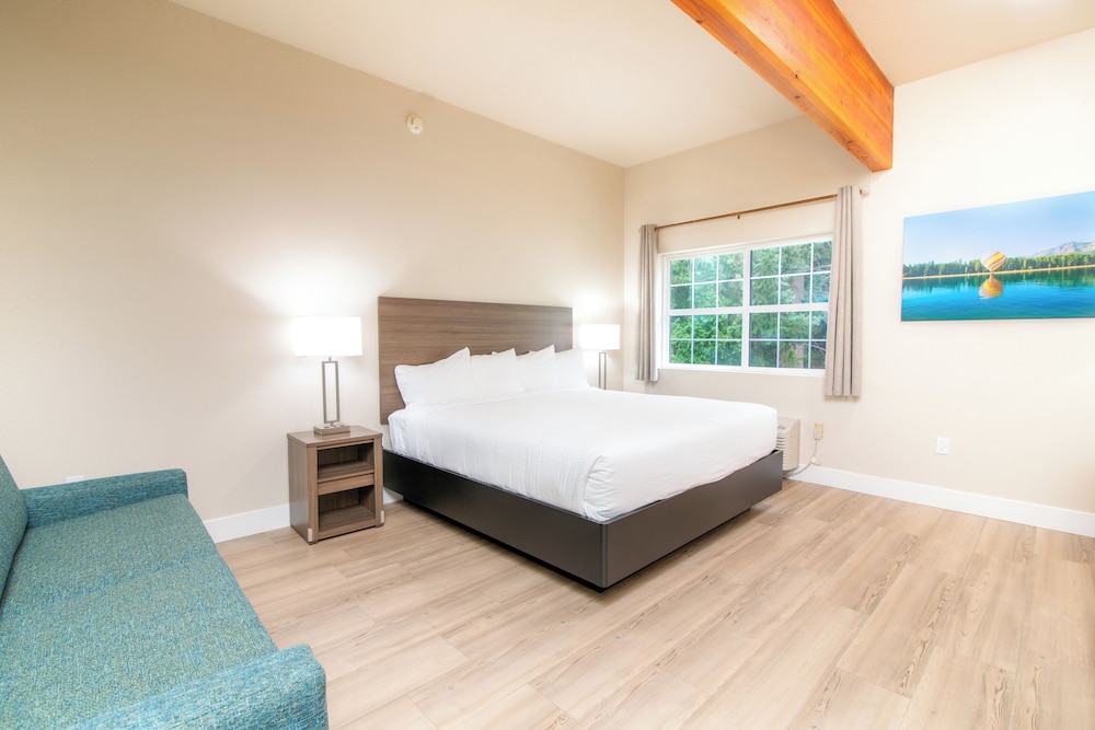 Standard Single Room, 1 King Bed photo 1