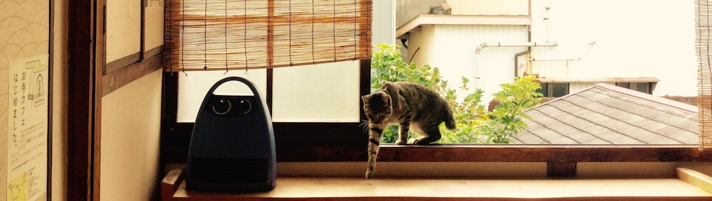 Japanese Style Room For 2 Guests photo 3