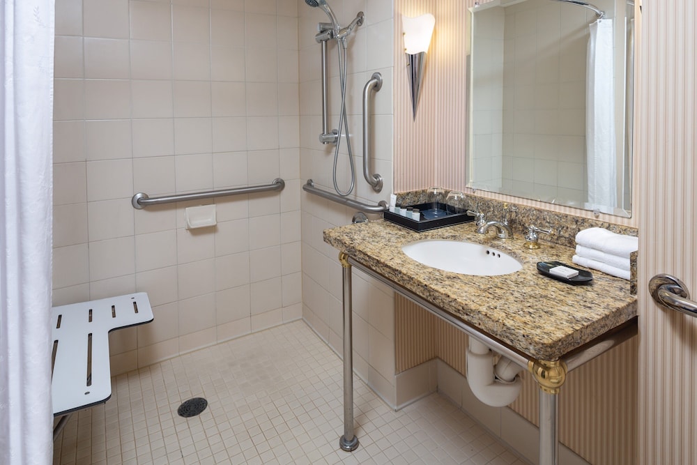 Standard Room, 1 King Bed (Mobility/Hearing Access, Roll-In Shwr) - Photo 6