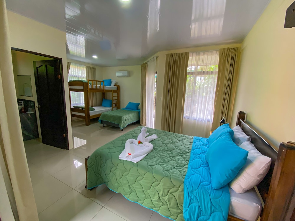Superior Room, Multiple Beds photo 1