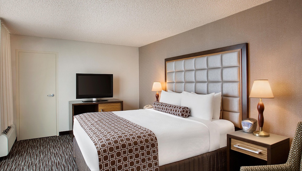 Suite, 1 Bedroom