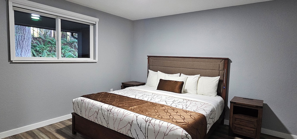 Premium Suite, 1 King Bed with Sofa bed, Kitchen photo 3