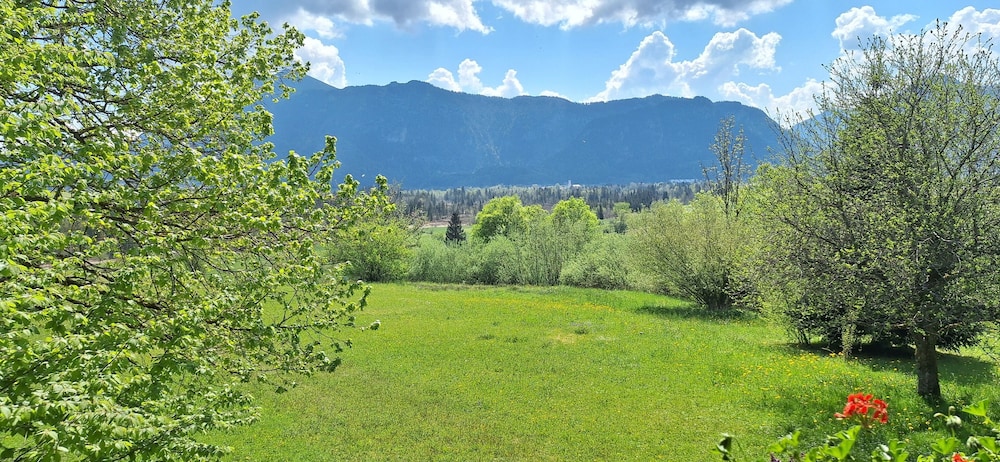 Classic Single Room, Patio, Mountain View photo 3