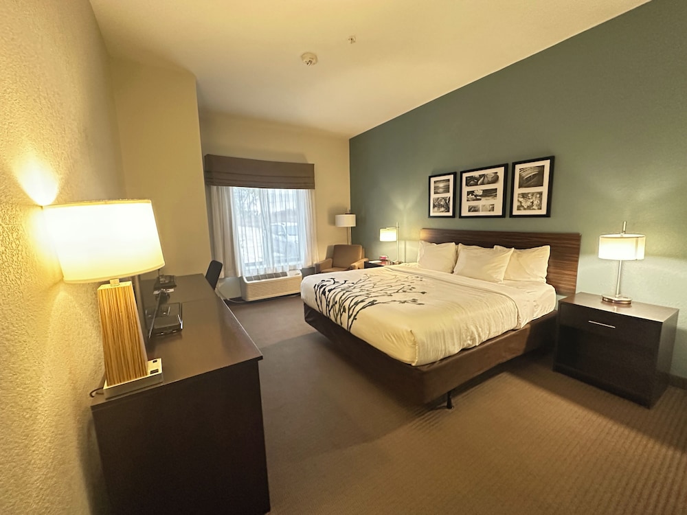 Room, 1 King Bed, Accessible, Non Smoking photo 1