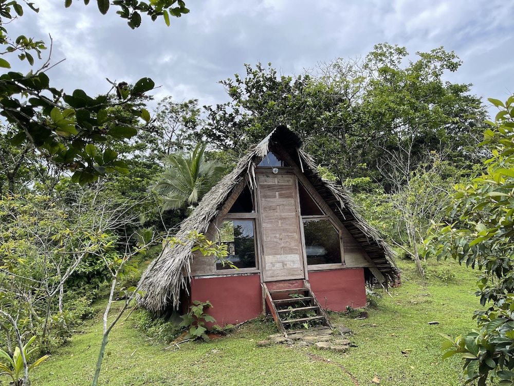 Panoramic Cabin photo 2