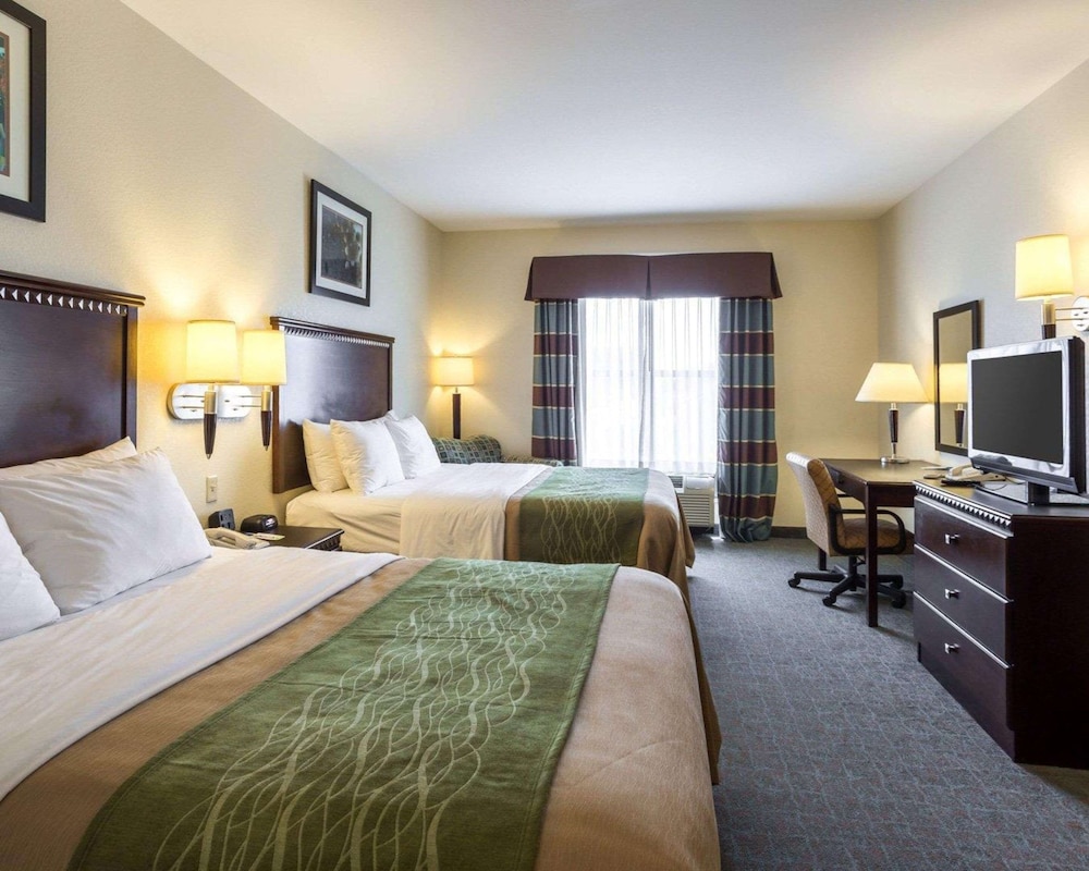 Room, Multiple Beds, Accessible, Non Smoking - Photo 2