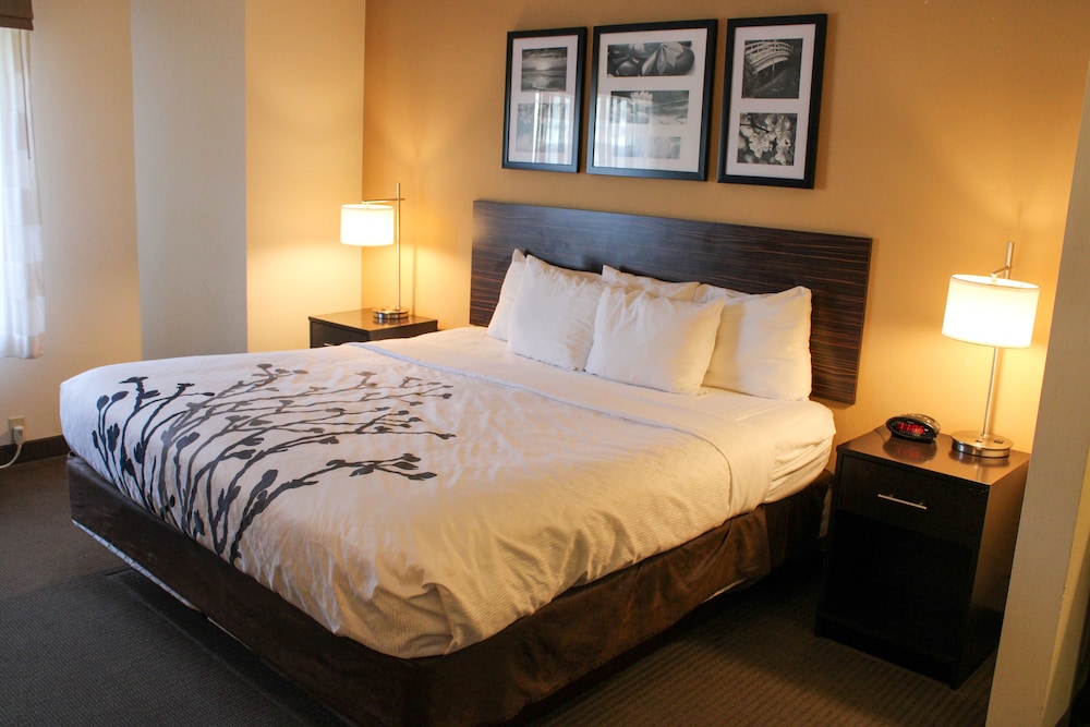 Room, 1 King Bed, Accessible, Non Smoking (No Pets) - Photo 3