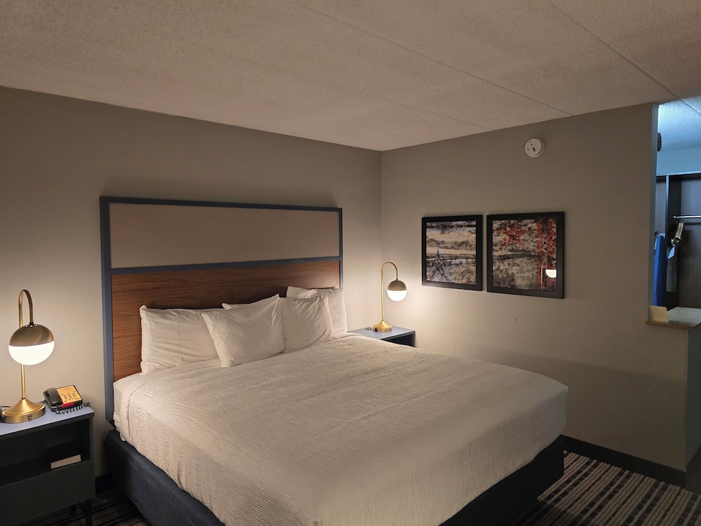 1 Queen Bed, Non-Smoking - Photo 1