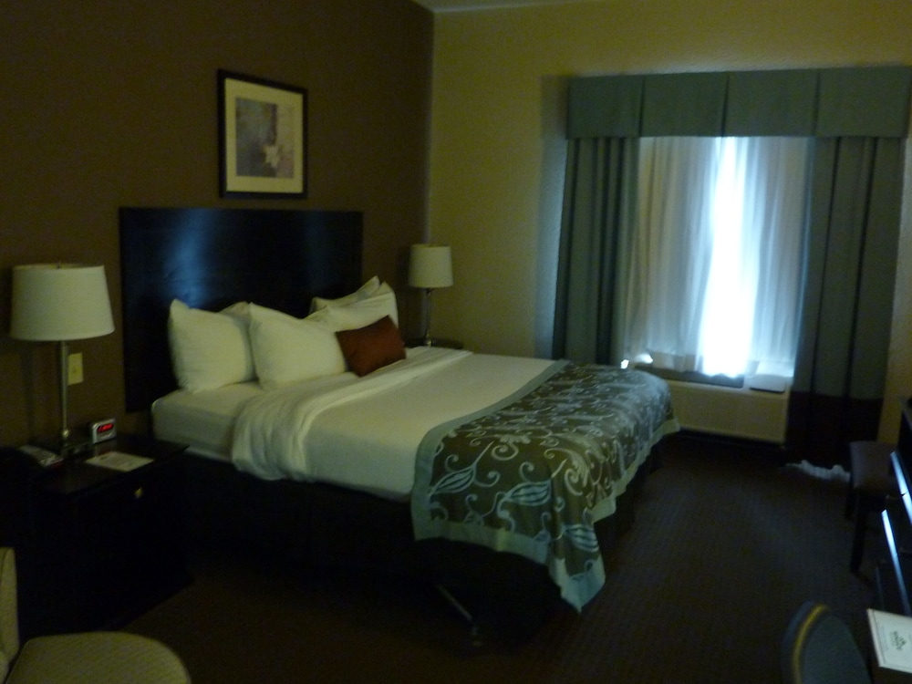 Deluxe Studio Suite, 1 King Bed with Sofa bed, Non Smoking - Photo 4