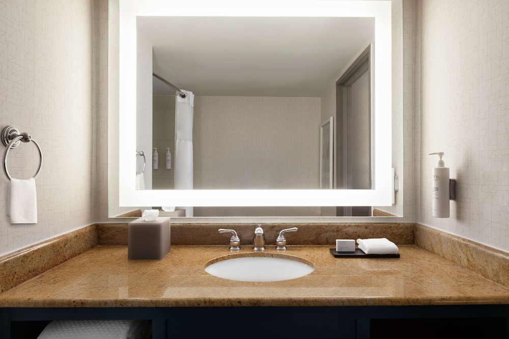 Suite, 1 King Bed, Pure Wellness (Air Purifier) - Photo 8