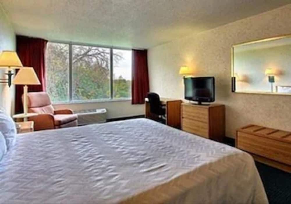 Standard Room, 1 King Bed, Non Smoking photo 2