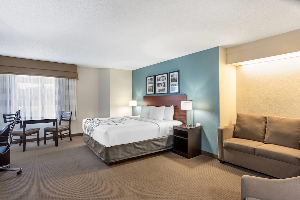 1 King Bed, 1-Person Pullout Sofa, Non-Smoking, No Pets Allowed photo 1