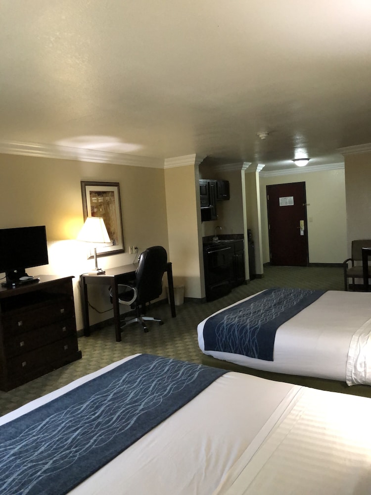 Basic Double Room photo 3