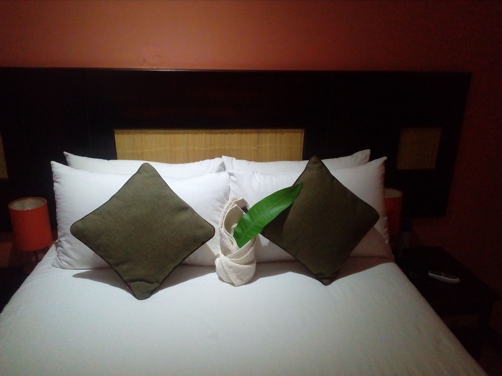 Standard Double Room photo 2