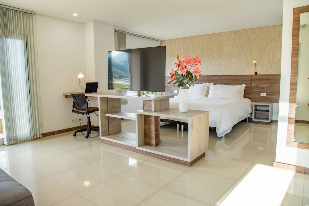 Deluxe Studio Suite photo 1